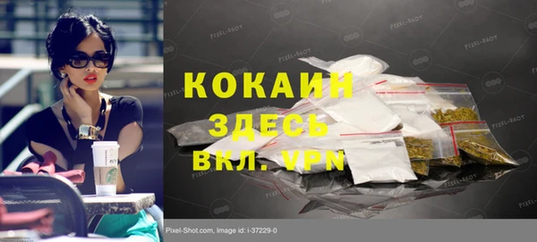 индика Балабаново