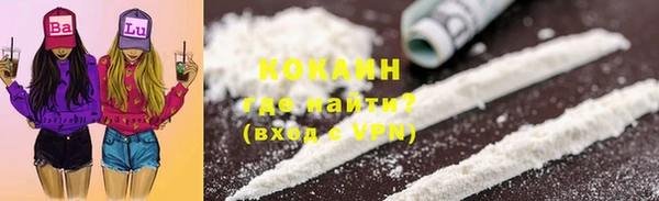 индика Балабаново