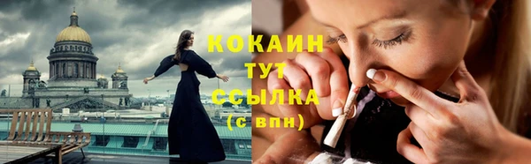 индика Балабаново
