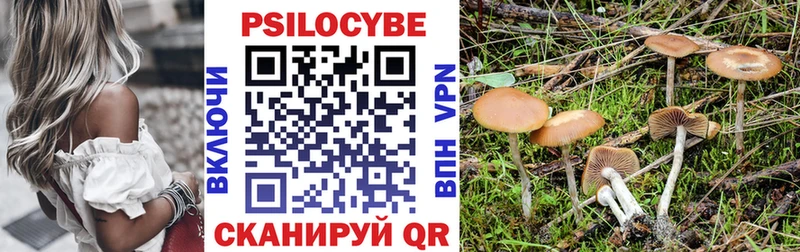 купить закладку  Барабинск  Псилоцибиновые грибы мицелий 